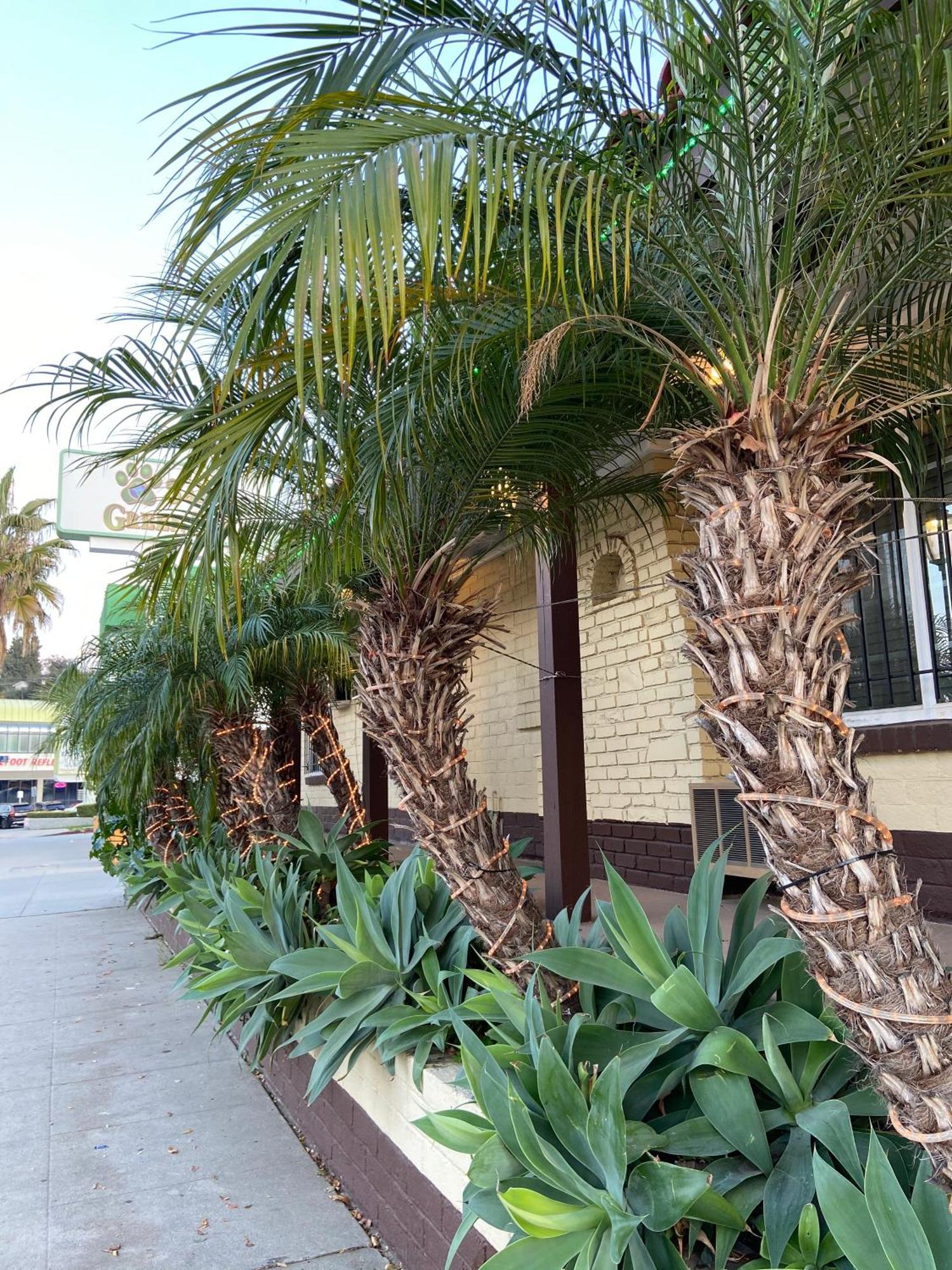 El Patio Inn Los Angeles Exterior photo